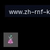 ky开云 logo